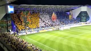 Coregrafie petrolul steaua [upl. by Nnylrebma]