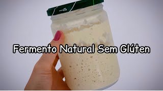 Aprenda a Fazer seu Fermento Natural Sem Glúten  Levain [upl. by Jerold]