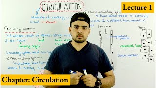 how Circulation works Circulation and circulatory system overview Chapter circulation Video 1 [upl. by Iveksarap]