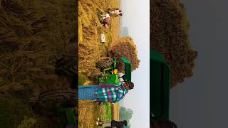 Bangla album🌾din Jay Radha se Malayalam ganBangla love story ganaBangla shayari Kishankashayari [upl. by Vrablik767]