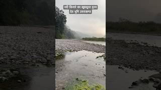 Mesmerising riverside view uttarakhand nature mountains river shorts viralvideo [upl. by Bibbie817]