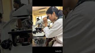 Afb staining in micro ucmsmedical neet2024 neet2022mamcucms practical microbiology mbbs [upl. by Rozelle]