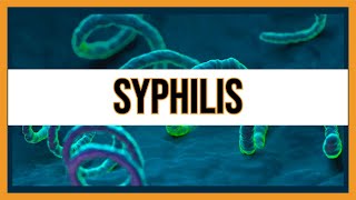 Syphilis Treponema Pallidum [upl. by Robinett]