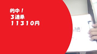 【競馬予想】ルミエールオータムダッシュ L（2024年10月27日新潟11R）予想 [upl. by Aneeroc]