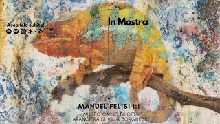 Manuel Felisi 11 al museo Carlo Bilotti [upl. by Ettelegna204]