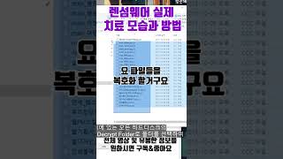 랜섬웨어 치료하기 ransomware recovery [upl. by Leah]