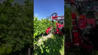 DEMO Tour  Pulsní defoliátor ERO VITIPULSE DUO 300 [upl. by Skantze]