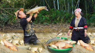 Dwarf Family Harvesting A Lot Of Fish At Mud Pond Goes to market sell  Dwarf free bushcraft [upl. by Dewitt832]