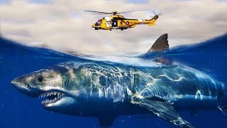 What If MEGALODONS Were Still ALIVE [upl. by Lewie956]