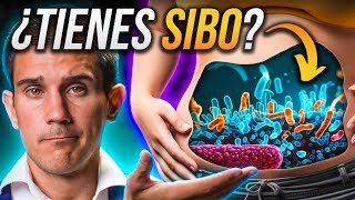 TODOS con SIBO la misteriosa RAZÓN sobrecrecimiento bacteriano [upl. by Aisylla]