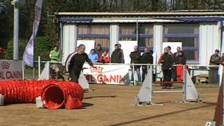 Agility  Cholet  3D  Absie des Côteaux du Lys 210210 [upl. by Tatiania36]