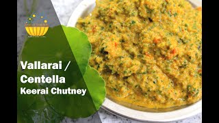 Vallarai Keerai Thuvaiyal  Shorts  Vallarai Keerai Chutney  Centella Chutney  வல்லாரை கீரை சட்னி [upl. by Onidranreb]