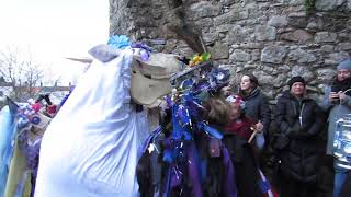 Chepstow Mari Lwyd and Wassail 20th January 2024 [upl. by Wilscam]