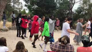 Brolga dance  Yolngu visit to Willum Warrain [upl. by Nonnerb]