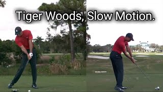 Tiger WoodsDriver SwingSlow Motion [upl. by Alena]