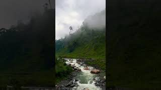 Beautiful water flowing water nature 2024 hills tree tranding viralvideo viralshorts like [upl. by Zsazsa]