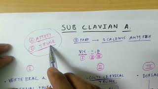 Sub Clavian Artery  TCML [upl. by Kehsihba]