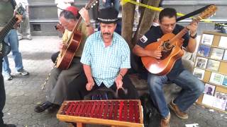 Downtown San Jose Costa Rica Street Music [upl. by Alonso]