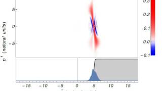 Dirac equation Klein Paradox in the phase space with decoherence [upl. by Elisee128]