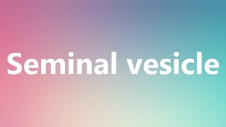 Seminal vesicle  Medical Meaning and Pronunciation [upl. by Otrebtuc64]