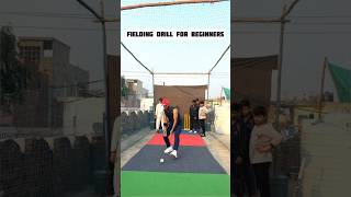 Cricket Fielding Mastery Viral Drill for Beginners [upl. by Latonia]