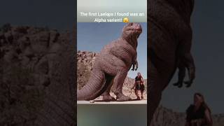 I found a Vintage Laelaps in Ark shorts arksurvivalascended gaming [upl. by Htiekal]