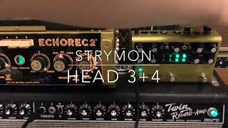 Strymon volante VS Binson Echorec2 T7E [upl. by Poulter]