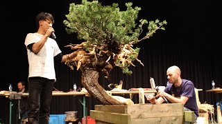 Taiga Urushibata Bonsai demo [upl. by Nidak595]