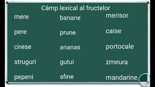 Camp lexical pentru fructe exercitii teme exemple limba romana literatura gramatica [upl. by Francis949]