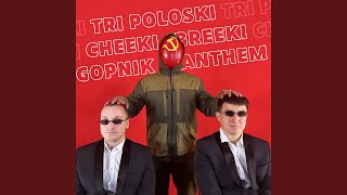 Tri Poloski Cheeki Breeki Gopnik Anthem [upl. by Haakon]