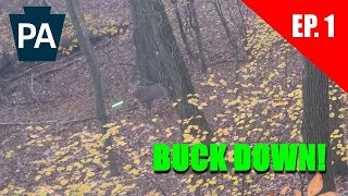 PA Archery Buck DOWN  Bow season has been a GRIND so far  2024 Bowhunting Pennsylvania [upl. by Noreen]