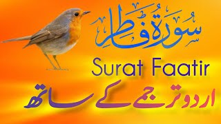 Surat FaatirFaatirWith Urdu Tarjuma  Viral Quran Tilawat BeautifulVoice  Tilawat Recitation [upl. by Anyd27]