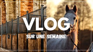 Une quotsemainequot avec moi 🐴 [upl. by Adnama249]