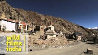 Mud bricks at Hemis Monastery town Ladakh [upl. by Colley33]