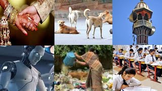 Street Dogs  Garbage Challan  Prajavani  CBSE Exams  Imam Salary Winter Alert  Robot Operation [upl. by Annaitsirhc]