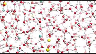 Molecular Dynamics simulation of Sodium Chloride in Water [upl. by Nnylyak722]