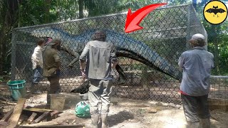 El Dinosaurio del Amazonas que fue Capturado y Mantenido en Secreto [upl. by Aseiram]