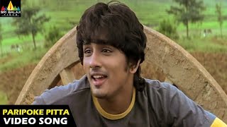 Nuvvostanante Nenoddantana Songs  Paripoke Pitta Video Song  Siddharth Trisha  Sri Balaji Video [upl. by Swetiana978]