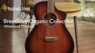 Breedlove Organic Collection Wildwood Concert Acoustic Guitar  All Playing No Talking [upl. by Aguayo20]