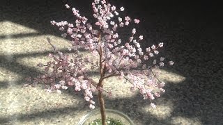 SAKURA Die japanische Kirschblüte TUTORIAL Bäume aus Perlen Annas Perlen [upl. by Nevada918]