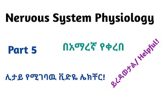 Physiology Neurophysiology General Nervous Tissue Part 5 Video Lecture in Amharic Speech [upl. by Townshend]