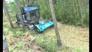 TRITURADORA FORESTAL 1600350 PICURSA TRACTOR CADENASwmv [upl. by Judenberg599]