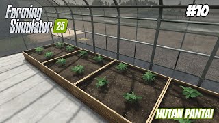 Chilipepers  Verhuizen  Hutan pantai 10 fs25 [upl. by Levy688]