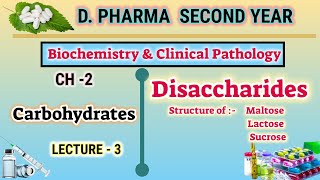 Disaccharides  Maltose  Lactose  Sucrose  Ch2  L3  Carbohydrates  DPharm second year [upl. by Eirelav]