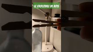 le crocodile de bois wtf viral explorepage funny [upl. by Annabal337]