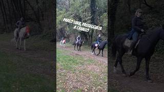 Parco Lura Passeggiata a Cavallo Lomazzo Como Italy [upl. by Bevis525]