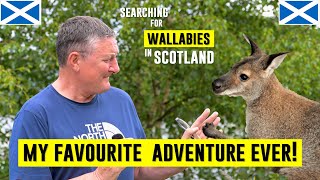 Wallabies in Scotland INCREDIBLE ADVENTURE to Inchconnachan Island [upl. by Adihsar]