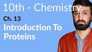 Class 10 Chemistry Chapter 5  Introductions to Proteins  10th Class Chemistry Chapter 13 [upl. by Rainger778]