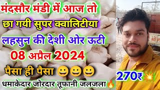 मंदसौर मंडी में सुपर टॉप क्वालिटी लहसुन का तहलका मचाने वाला भाव  Super Top Quality Garlic Rates [upl. by Weikert]