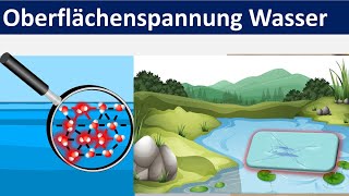 Oberflächenspannung von Wasser Biologie  Chemie Mittelstufe [upl. by Shelman]